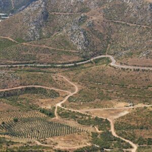 kule donen ormanlar yeniden can buluyor O2dXp1pX