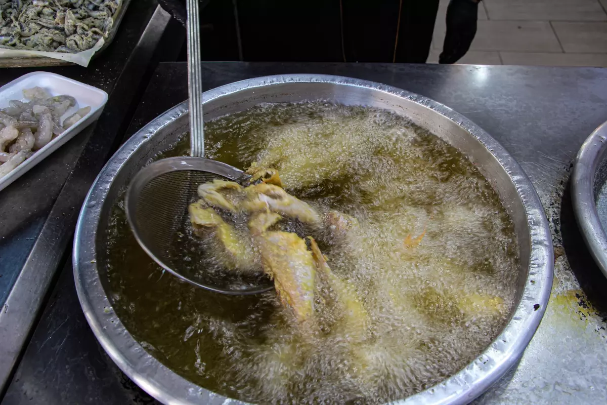 balik sezonu basladi fiyatlar dustu ZcBlnhwH