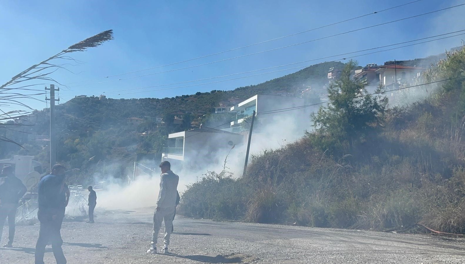 alanyada ormanlik alanda yangin kOXHEMyT.jpg