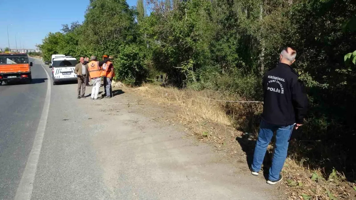 malatyada otomobil kayisi bahcesine uctu 1 yarali ufNOLRR7.jpg