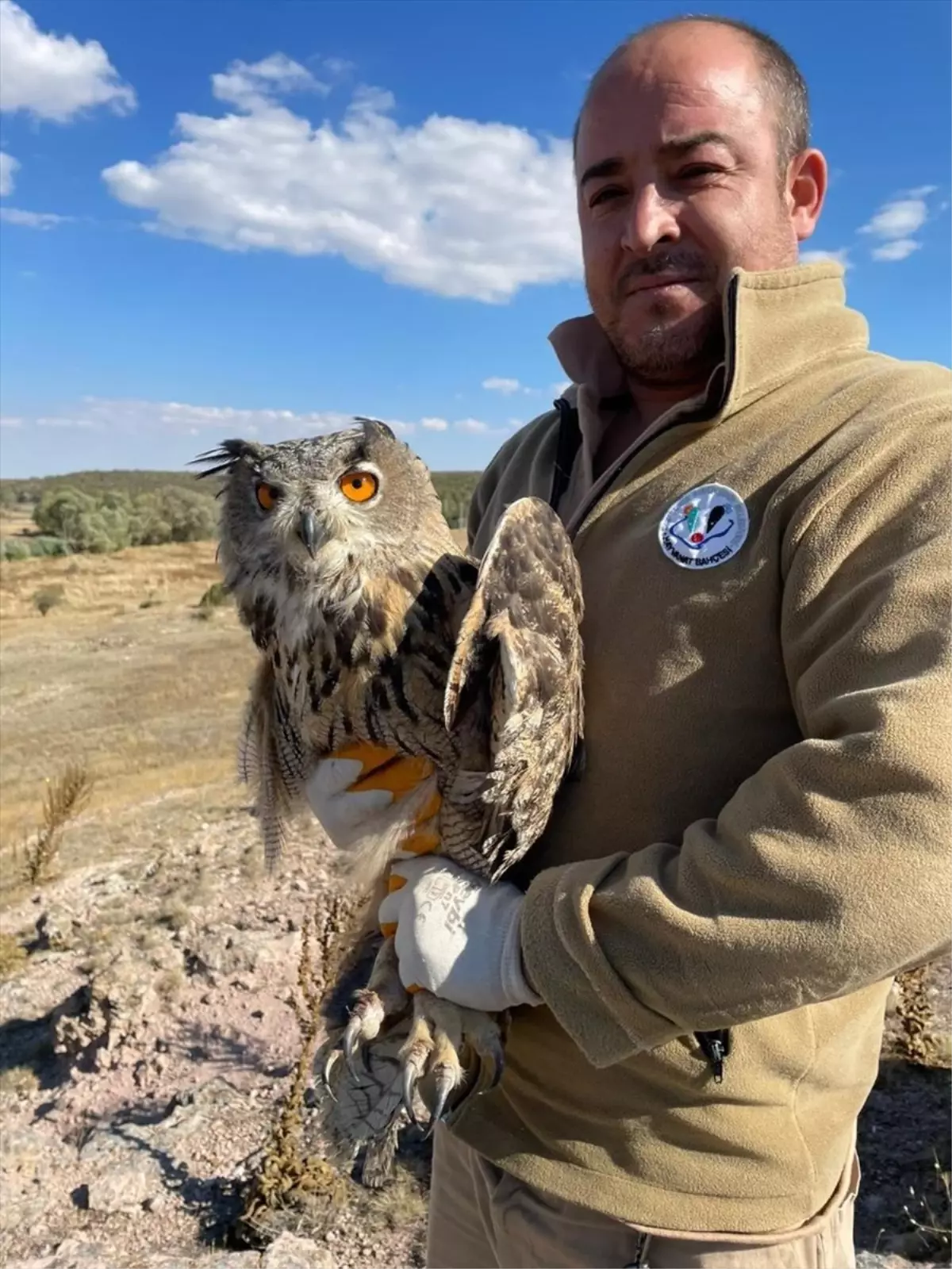 yarali puhu kusu tedavi edildi cGWBmk7O