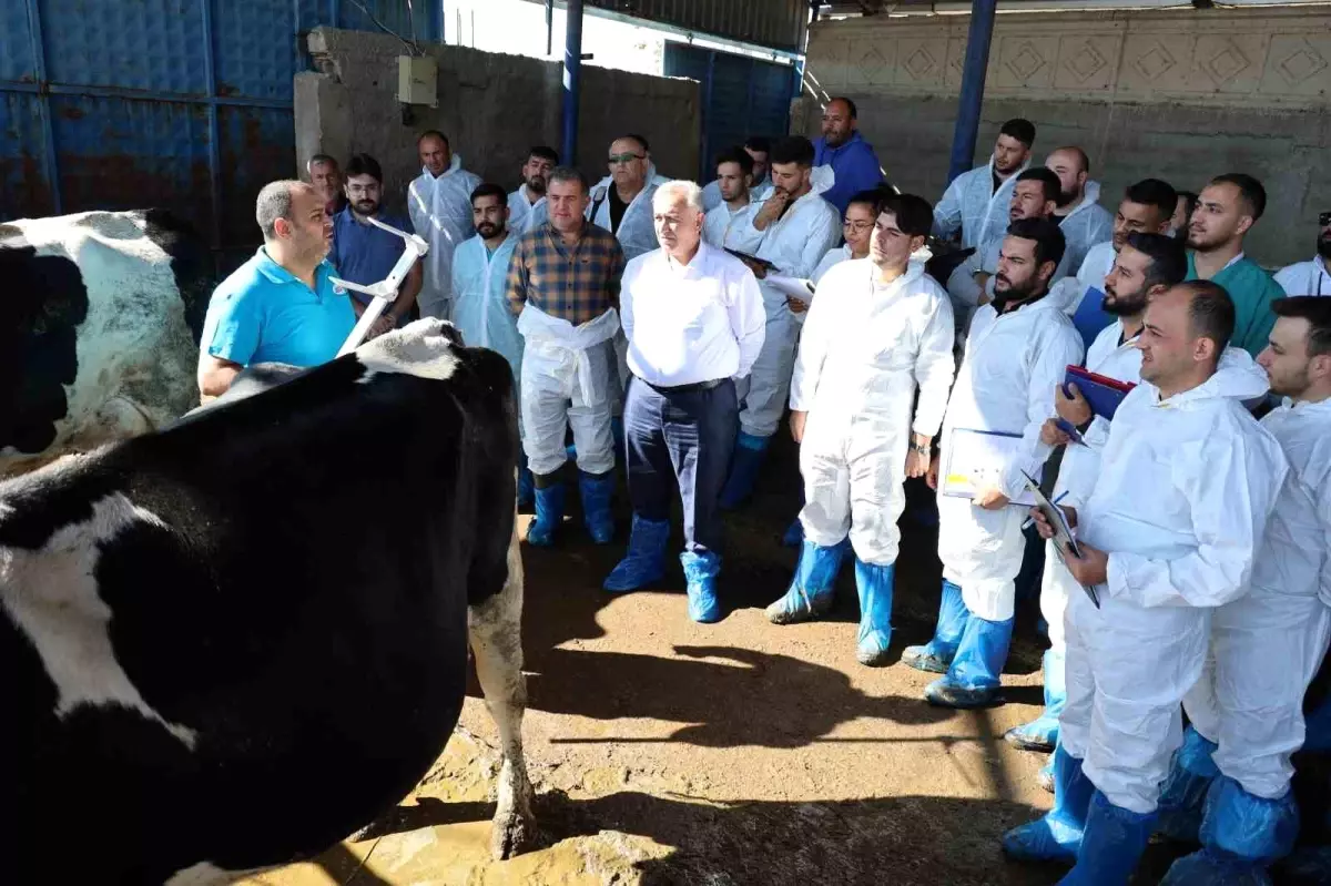 aksarayda sigir egitimi 5v7jVtcD.jpg