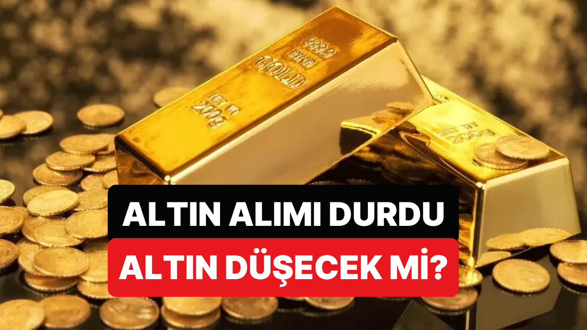 altin ve para piyasalari uzmani mehmet ali yildirimturk acikladi altin yukselecek mi dusecek mi FAc76l3E.jpg