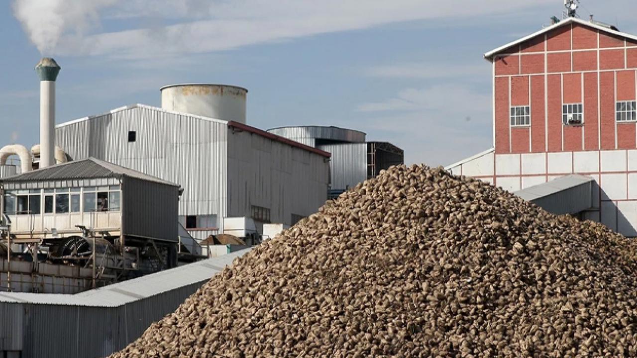 kayseri seker bu sezon 475 bin ton seker uretimi hedefliyor 2UGtLZHH.jpg