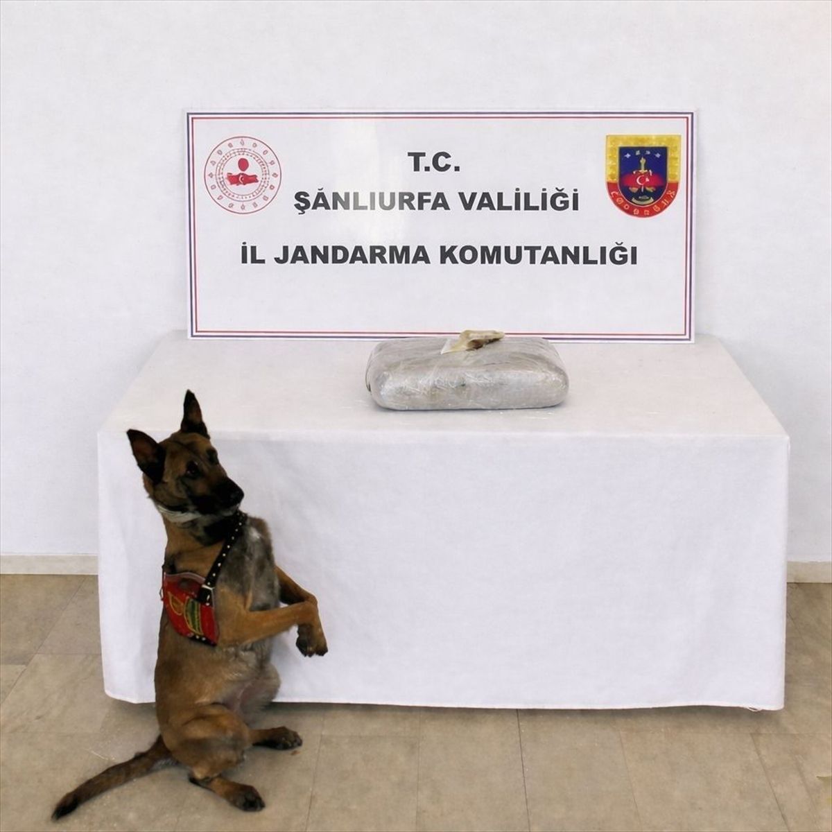 Birecik’te Uyuşturucu Ticareti Operasyonu: 1 Gözaltı