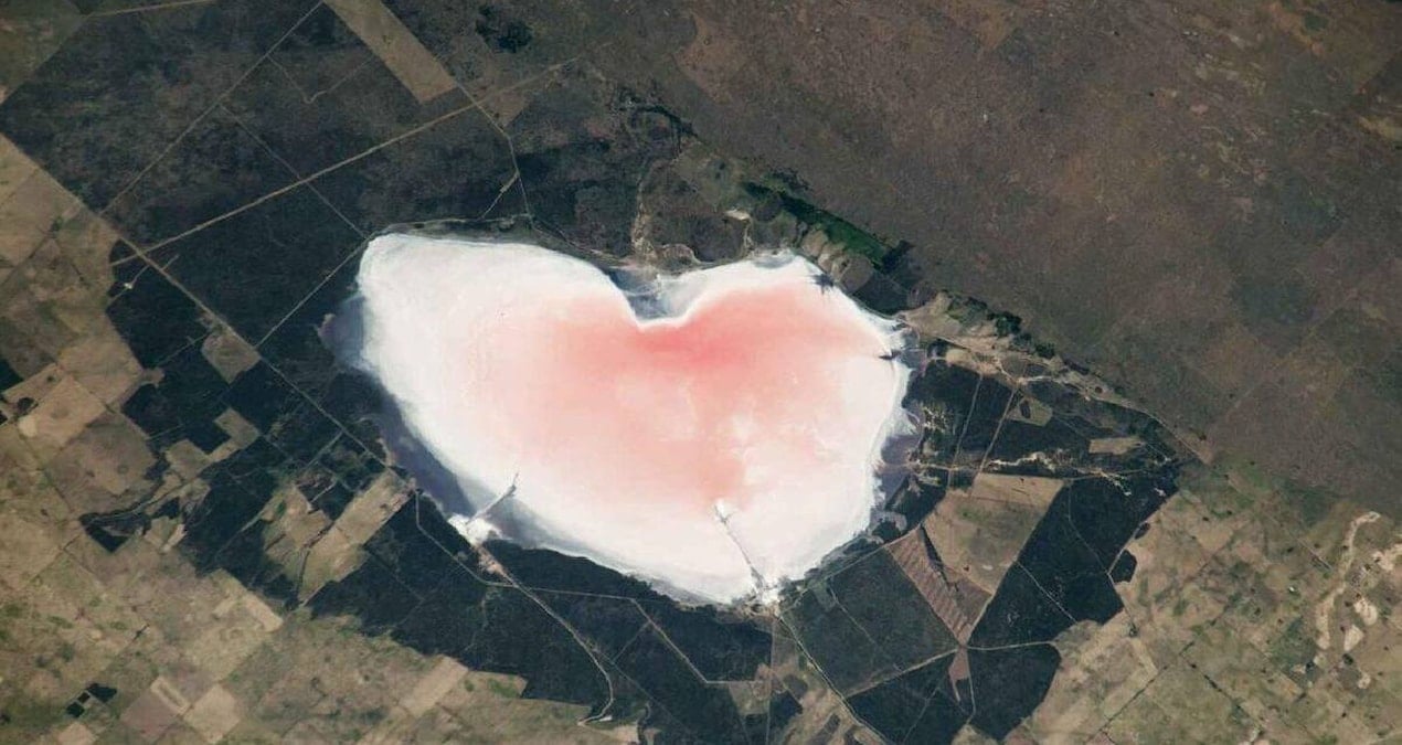 Pembe Gölün Gizemi Ortaya Çıktı: Masum Görünümün Ardındaki Gerçekler