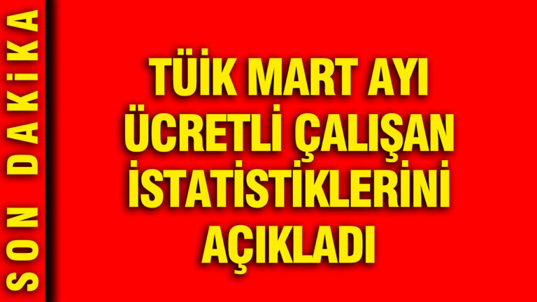 tuik-mart-ayi-ucretli-calisan-istatistiklerini-acikladi-qkqQSLIt