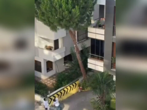 Maltepe haraketli anlar ciglik sesleri yukseldi kadina siddet iddiasina tasli cevap M4slLn2r